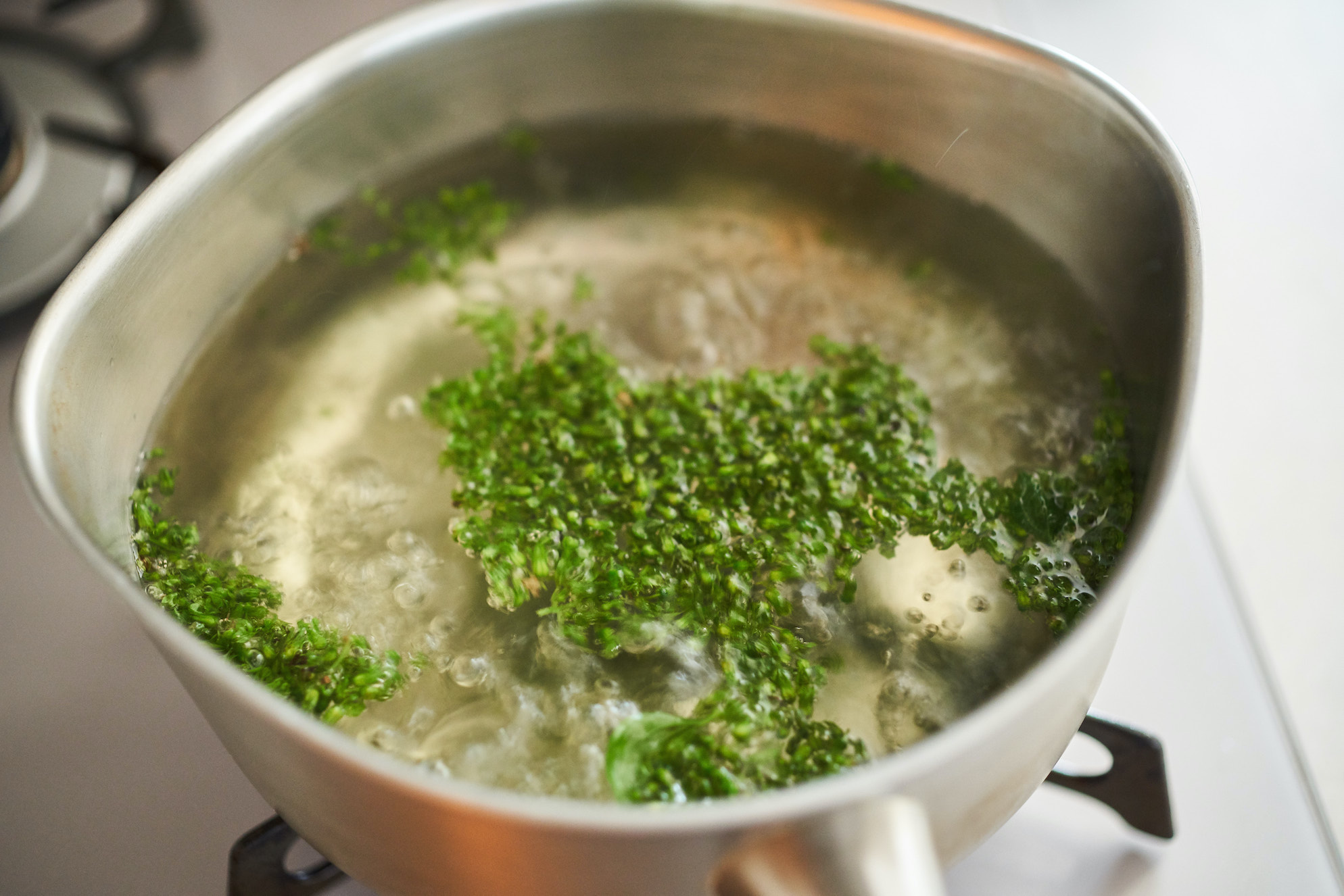 しその実の佃煮のレシピ 作り方 ふたりごはん