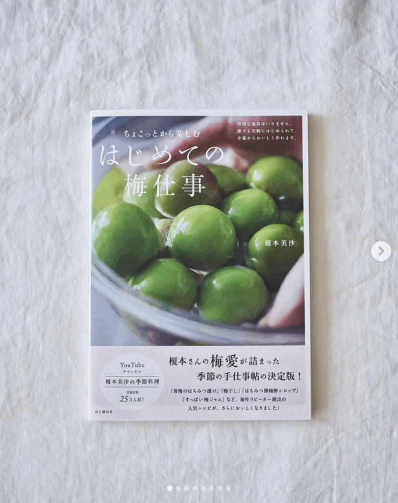 ちょこっとから楽しむ はじめての梅仕事 (山と渓谷社)